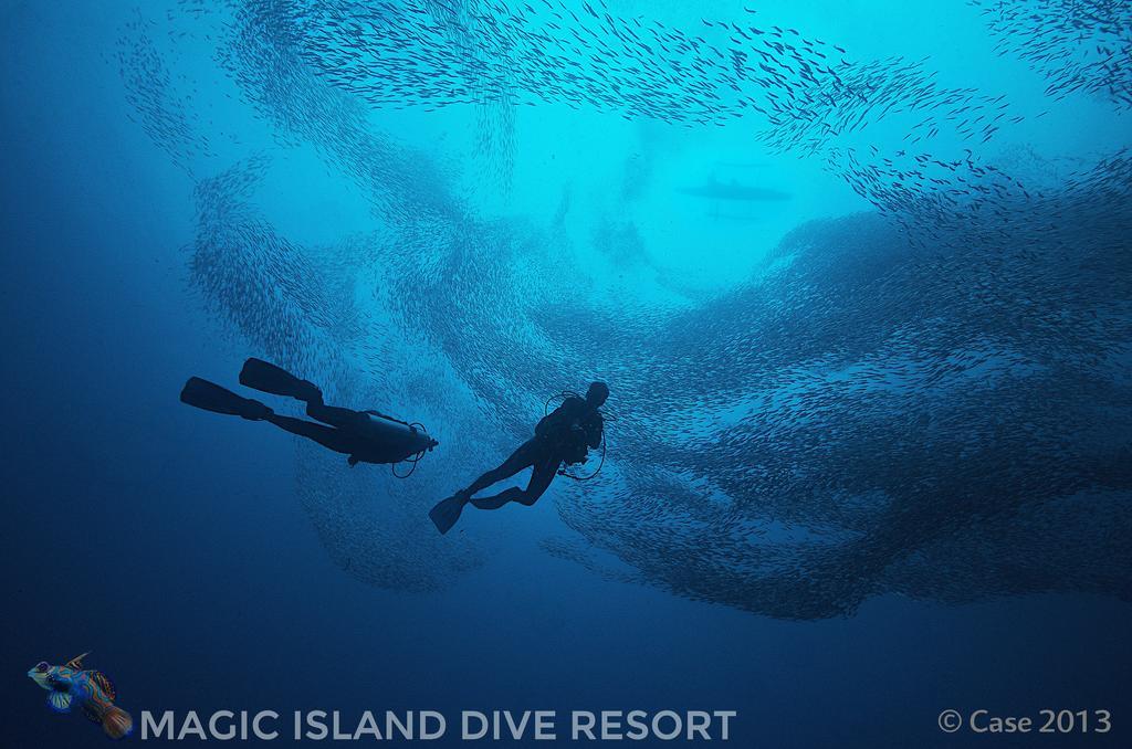Magic Island Dive Resort Moalboal Esterno foto